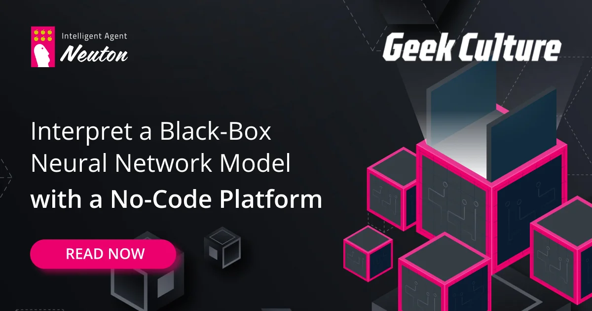 Interpret a Black-Box Neural Network Model with a No-Code Platform