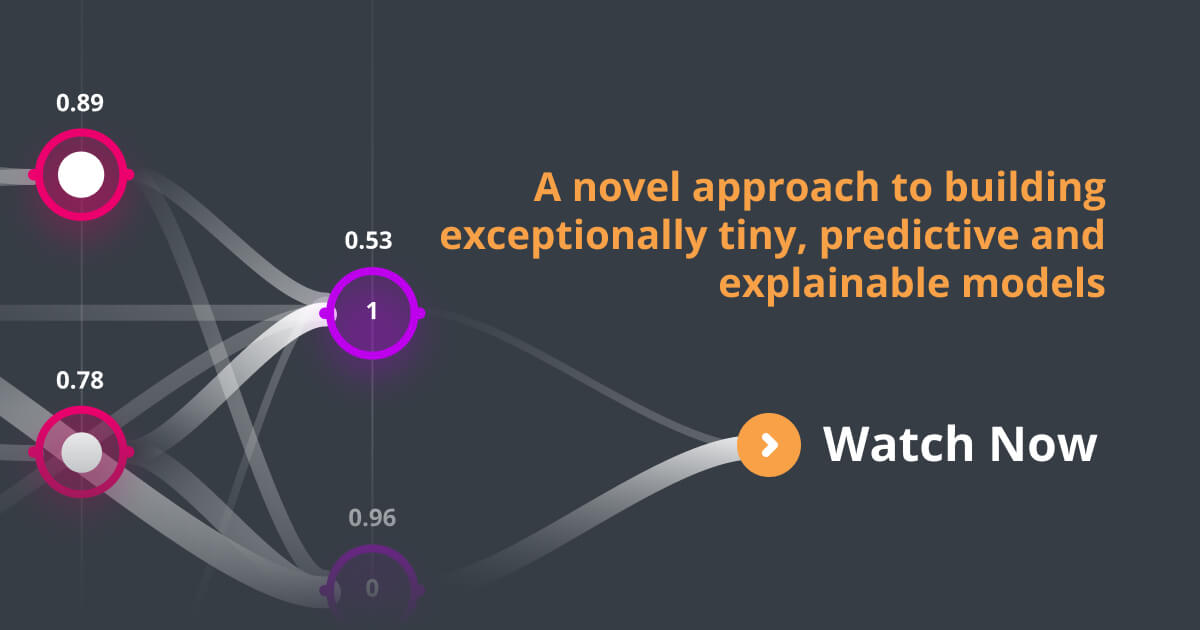 Neuton's Novel Approach to Building Exceptionally Tiny, Predictive and Explainable Models
